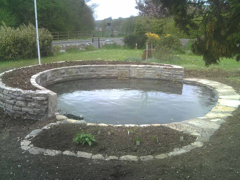  Pond restoration